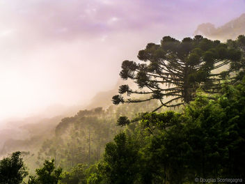 Santa Catarina, south Brazil - Free image #298777